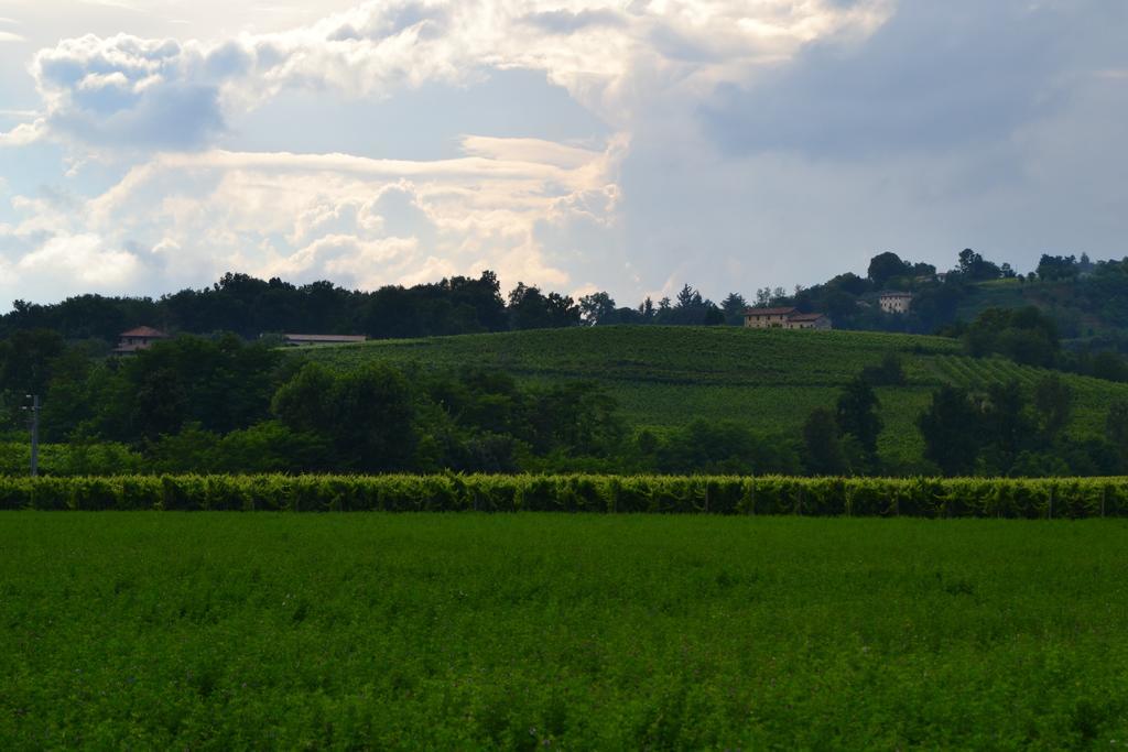 Crocetta del Montello Bed And Breakfast Villa Novella المظهر الخارجي الصورة